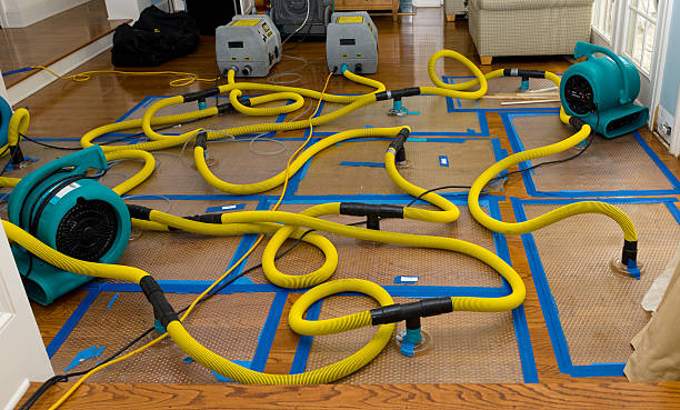 Professional Burst Pipe Water Damage technician working in Altamont, IL